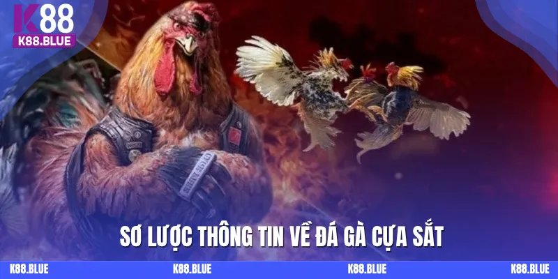 Các thông tin cơ bản về đá gà cựa sắt 