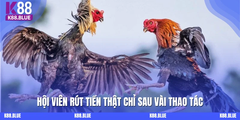 Hội viên rút tiền thật chỉ sau vài thao tác