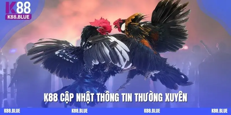 K88 cập nhật thông tin thường xuyên