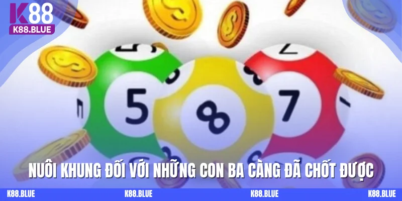 Nuôi khung đối với những con ba càng đã chốt được