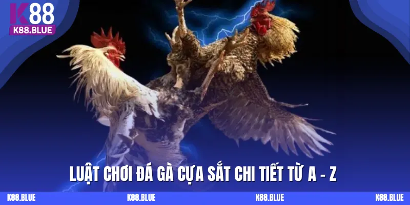 Luật cược cựa sắt cần nắm tại K88 