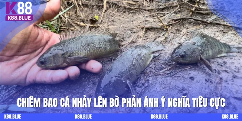 Chiêm bao cá nhảy lên bờ phản ánh ý nghĩa tiêu cực