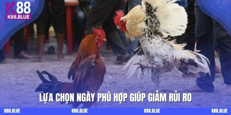 Lựa chọn ngày phù hợp giúp giảm rủi ro