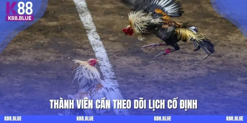 Thành viên cần theo dõi lịch cố định