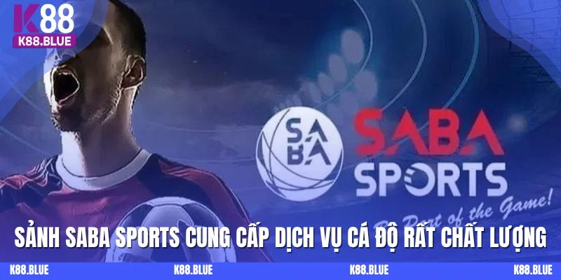 Sảnh SABA Sports cung cấp dịch vụ cá độ rất chất lượng