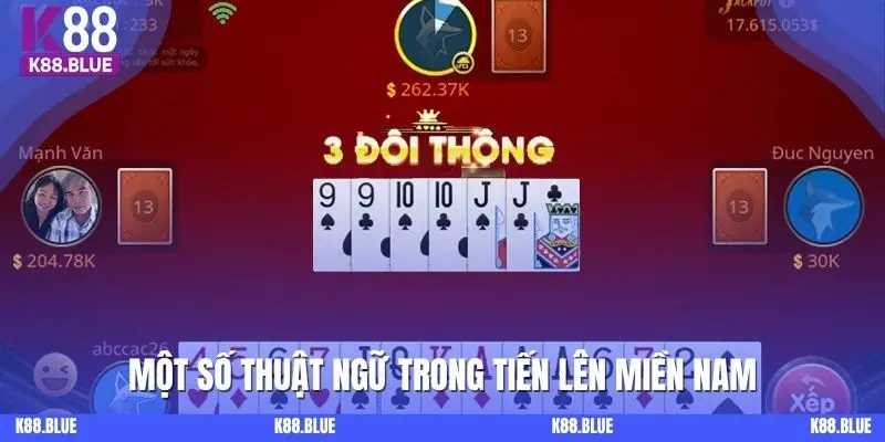 Một số thuật ngữ trong Tiến lên miền Nam