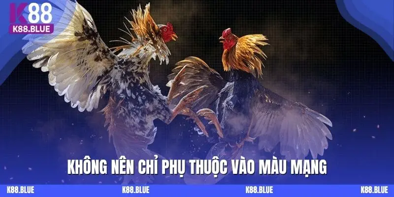 Không nên chỉ phụ thuộc vào màu mạng