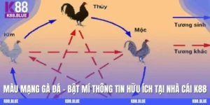 Màu Mạng Gà Đá - Bật Mí Thông Tin Hữu Ích Cho Kê Thủ