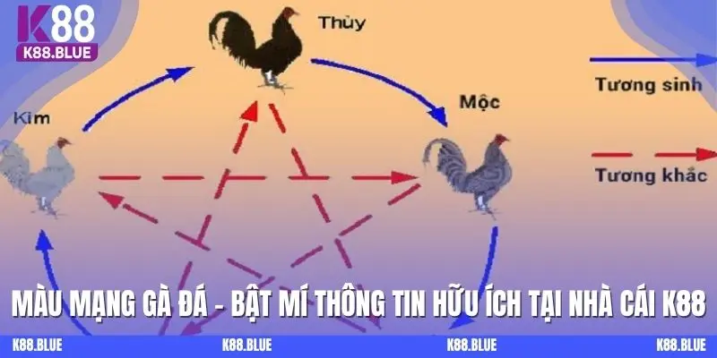 Màu Mạng Gà Đá - Bật Mí Thông Tin Hữu Ích Cho Kê Thủ