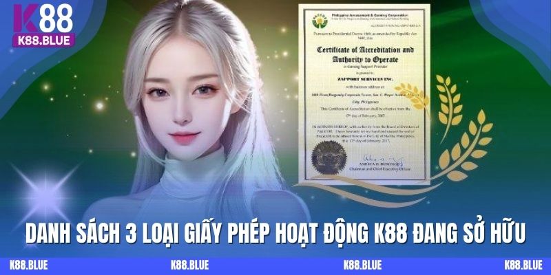 Danh sách 3 loại giấy phép hoạt động K88 đang sở hữu